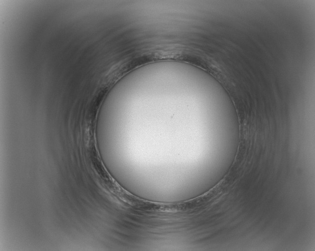 X0000062640741200512211007