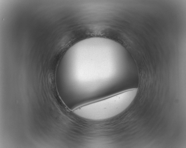 X0000062640747200512211007