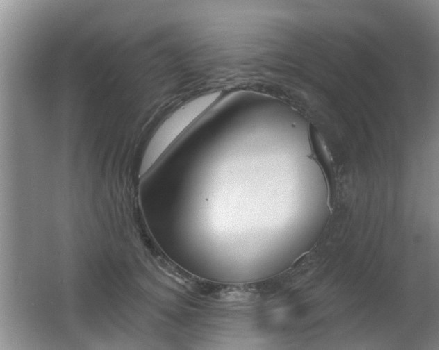 X0000062640756200512211007