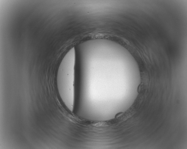 X0000062640761200512211007