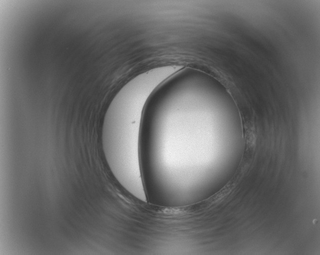 X0000062640766200512211007