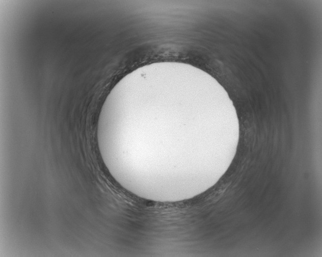 X0000062640769200512211006
