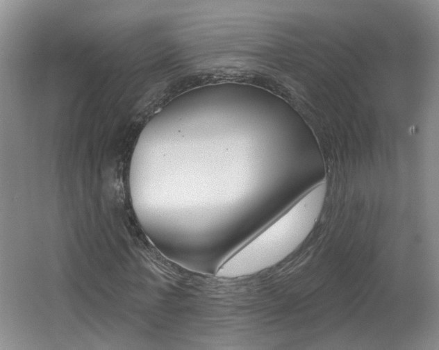 X0000062640771200512211006