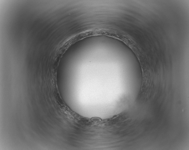 X0000062640773200512211006