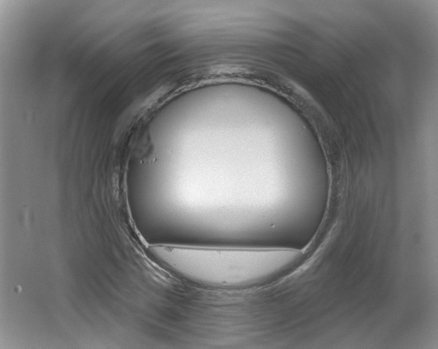 X0000062640777200512211006