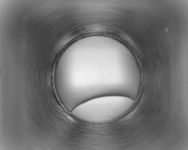 X0000062640778200512211006