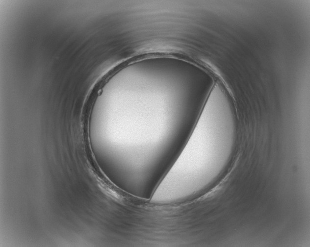 X0000062640779200512211006