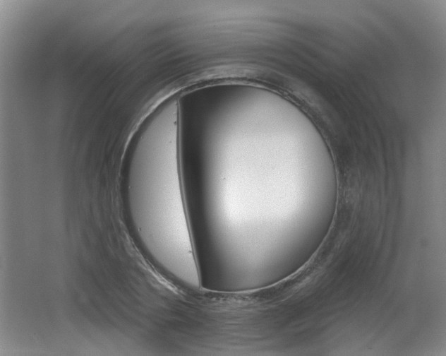 X0000062640786200512211006