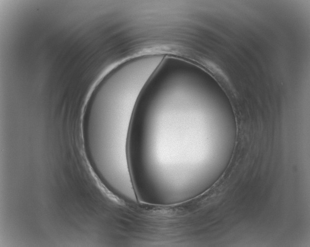 X0000062640792200512211006