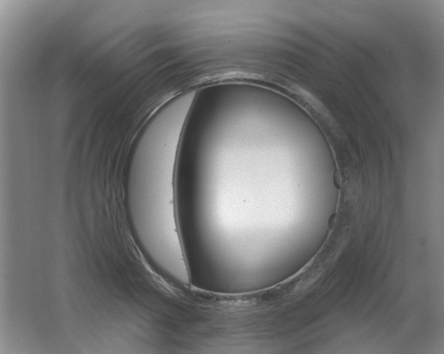 X0000062640793200512211006