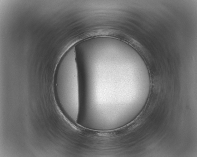 X0000062640794200512211006