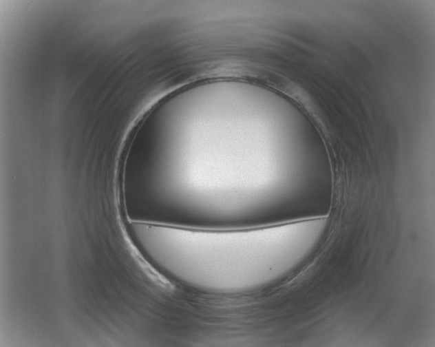 X0000062640795200512211006