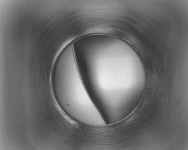 X0000062640796200512211006