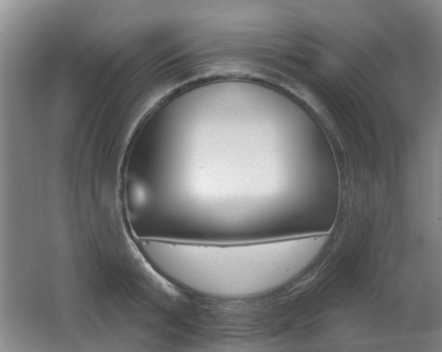 X0000062640799200512211006