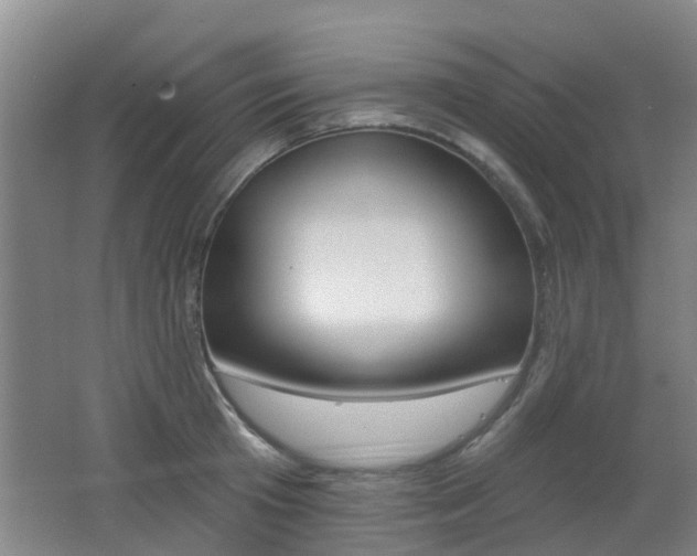 X0000062640801200512211006
