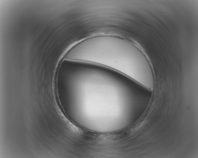 X0000062640803200512211006