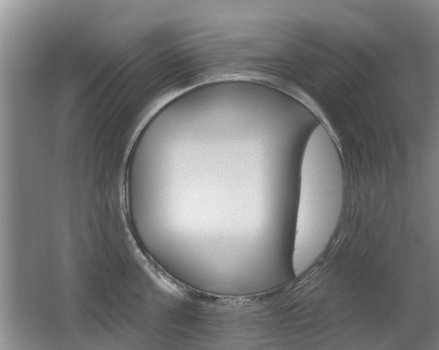 X0000062640811200512211006
