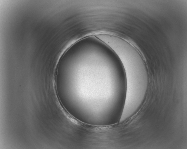 X0000062640813200512211006