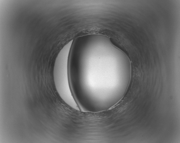 X0000062640818200512211005