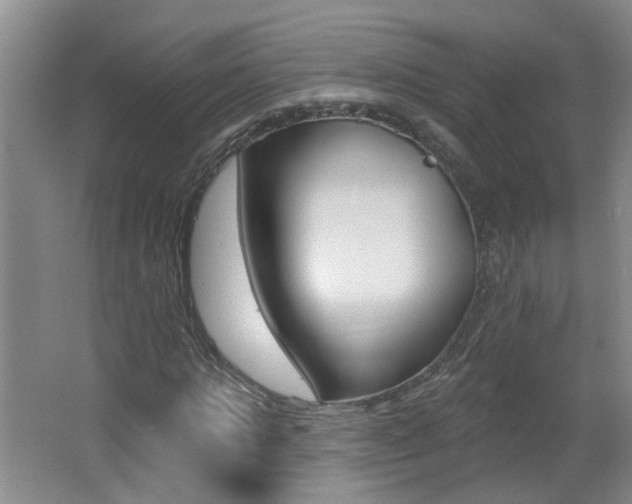 X0000062640821200512211005