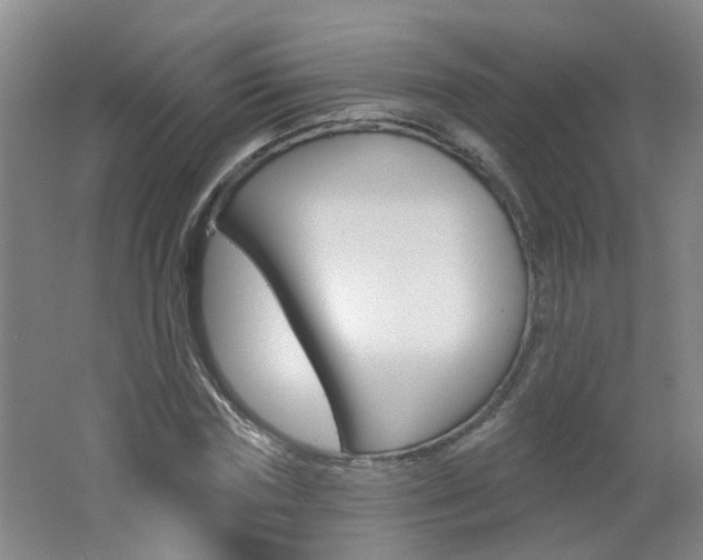X0000062640827200512211005