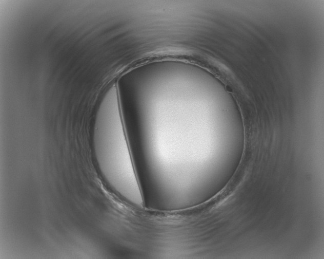X0000062640833200512211005