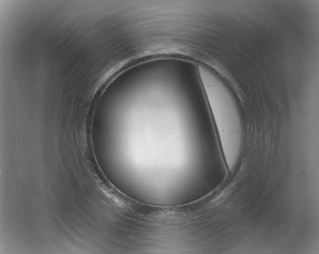 X0000062640834200512211005