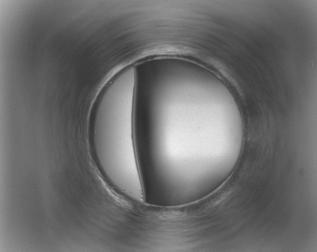 X0000062640837200512211005