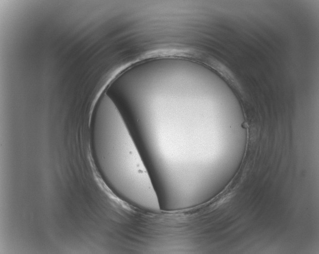 X0000062640844200512211005