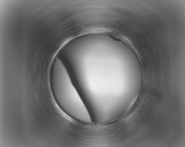 X0000062640851200512211005