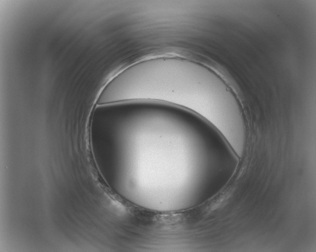 X0000062640858200512211005