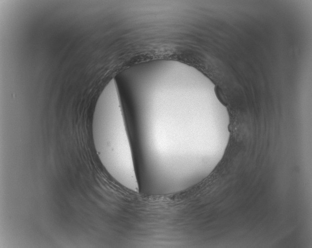 X0000062640866200512211005