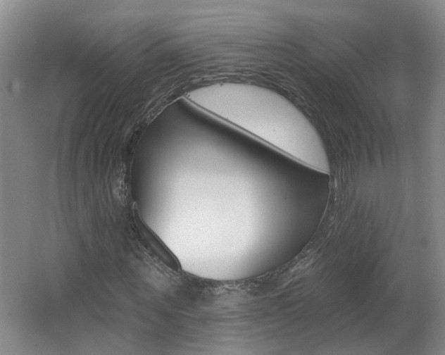 X0000062640867200512211005