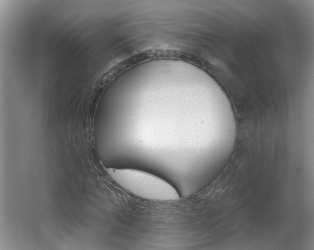 X0000062640870200512211005