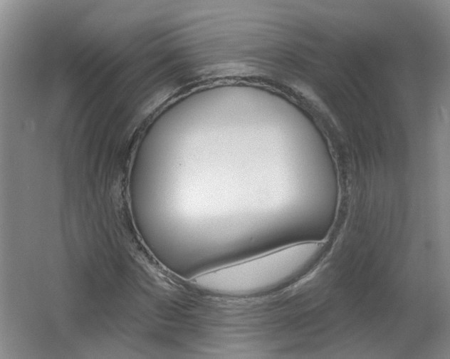 X0000062640873200512211005