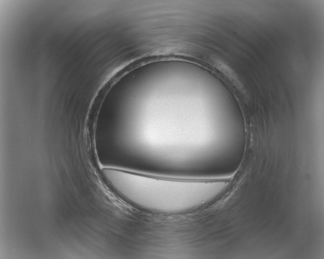X0000062640876200512211005
