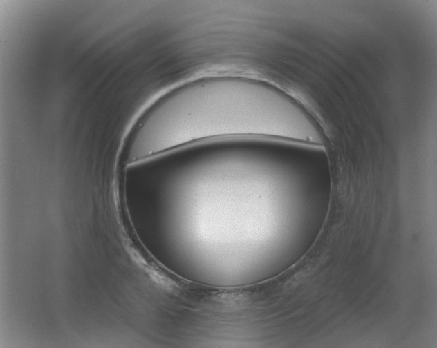 X0000062640888200512211004