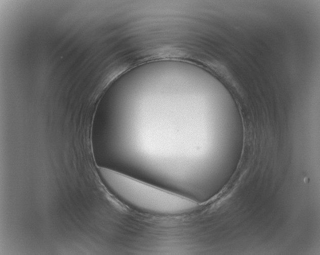 X0000062640889200512211004