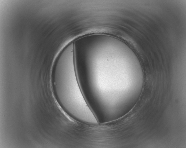 X0000062640894200512211004