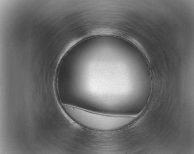 X0000062640901200512211004
