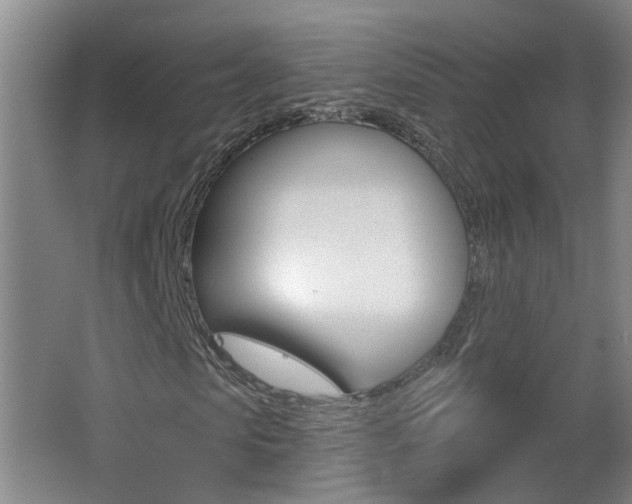 X0000062640913200512211003
