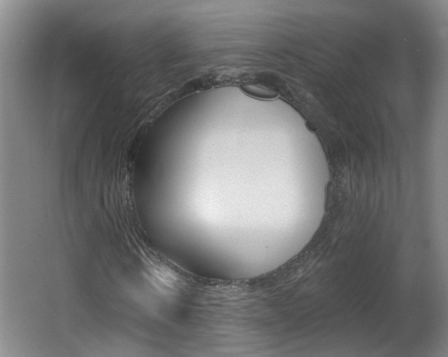 X0000062640914200512211003