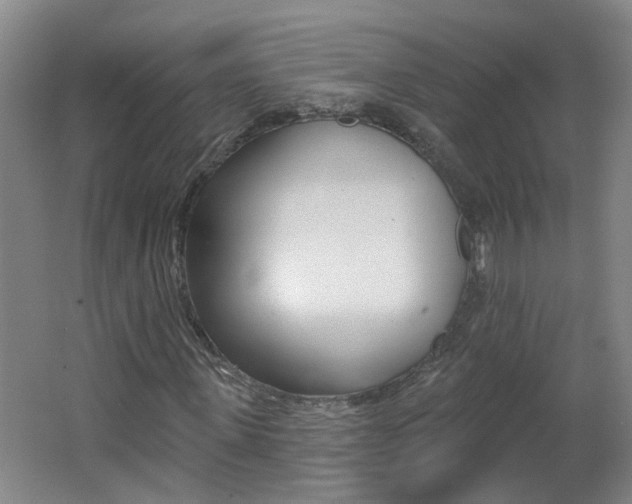 X0000062640915200512211003