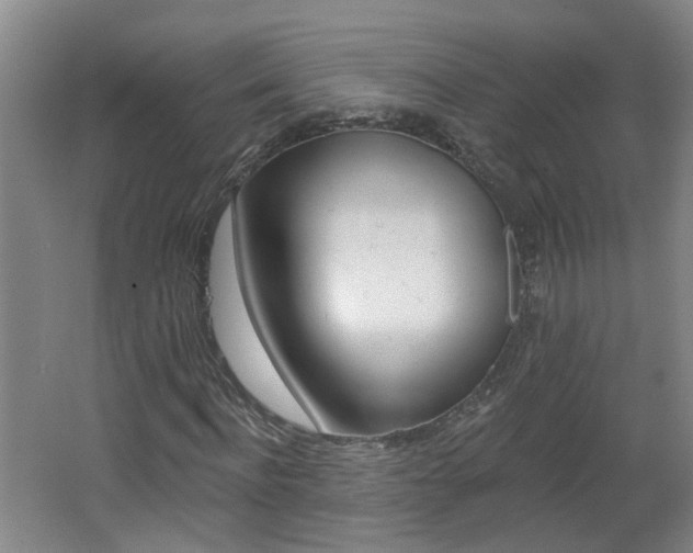 X0000062640916200512211003