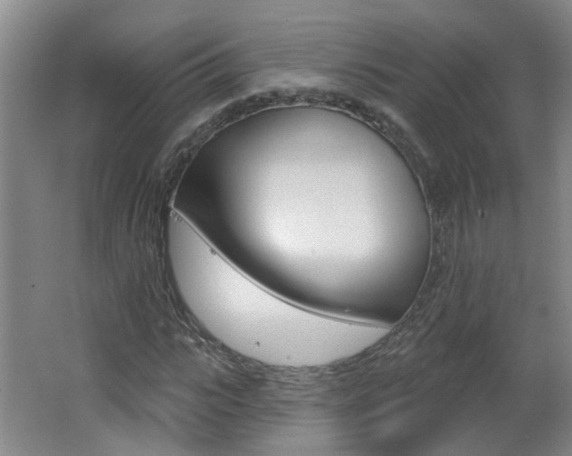 X0000062640919200512211003