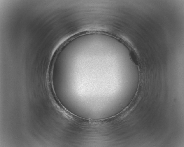 X0000062640928200512211003