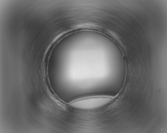 X0000062640931200512211003