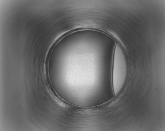 X0000062640932200512211003
