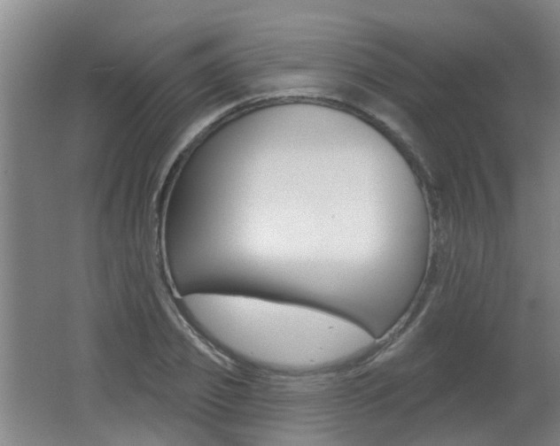 X0000062640933200512211003