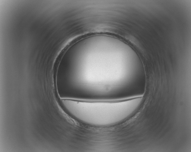 X0000062640934200512211003